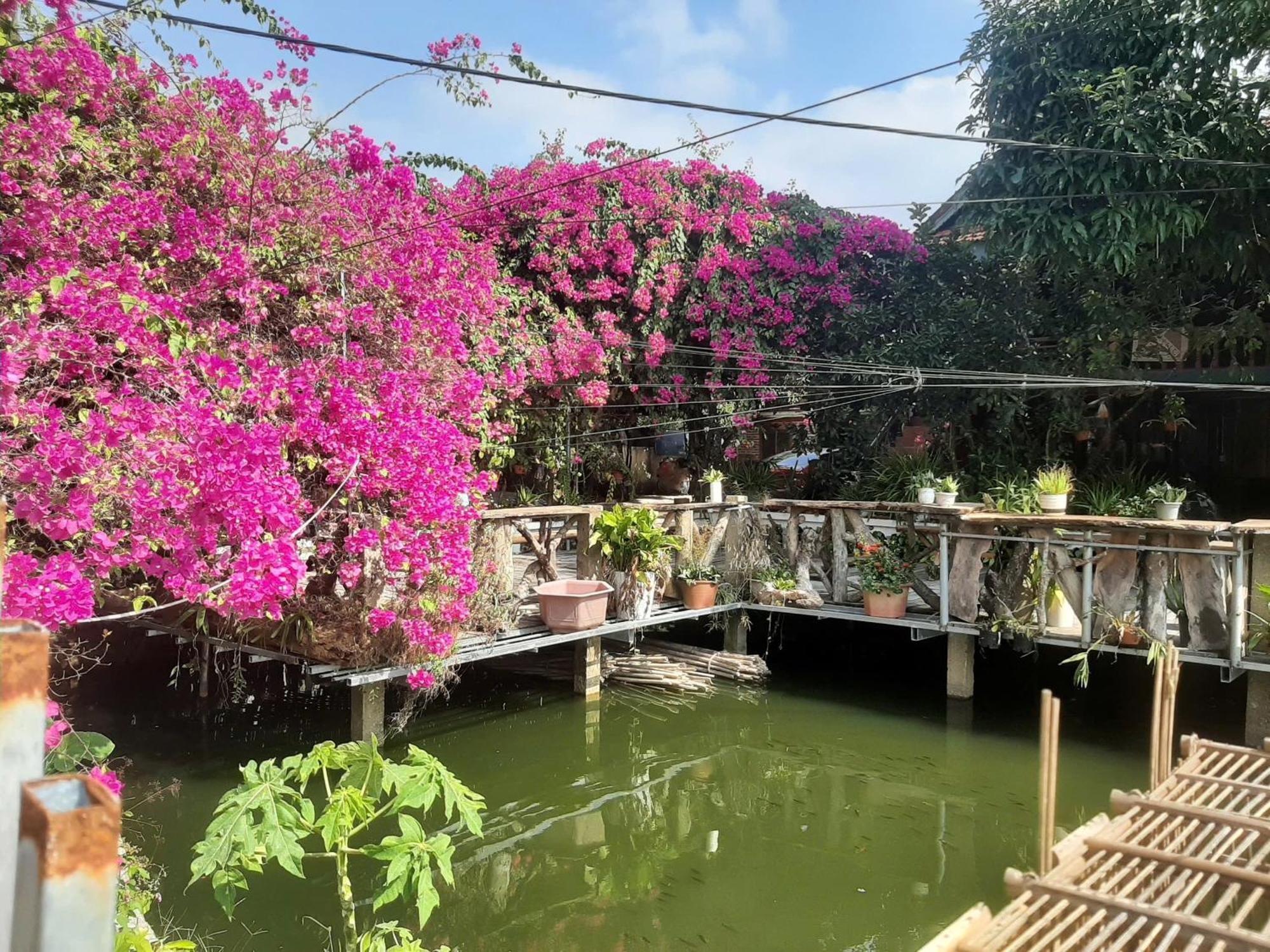 Minh Ngoc Homestay Dien Bien Phu Ban Hin Lom Buitenkant foto