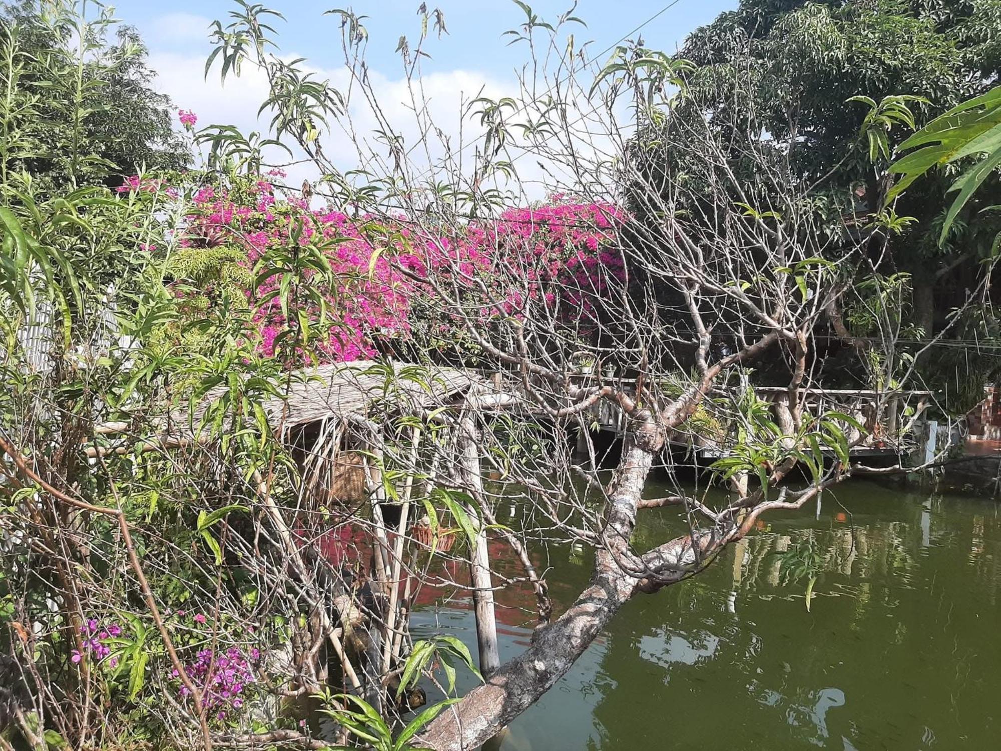 Minh Ngoc Homestay Dien Bien Phu Ban Hin Lom Buitenkant foto