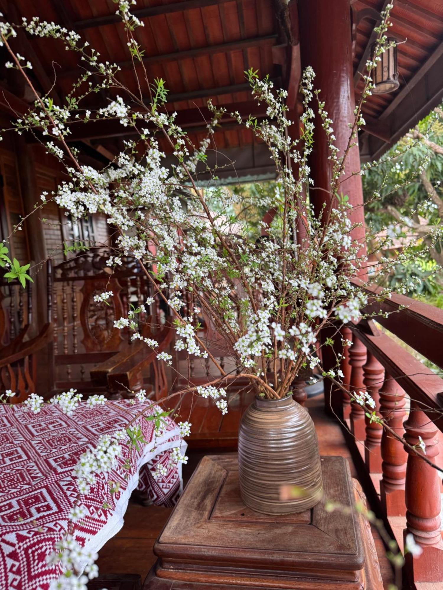 Minh Ngoc Homestay Dien Bien Phu Ban Hin Lom Buitenkant foto